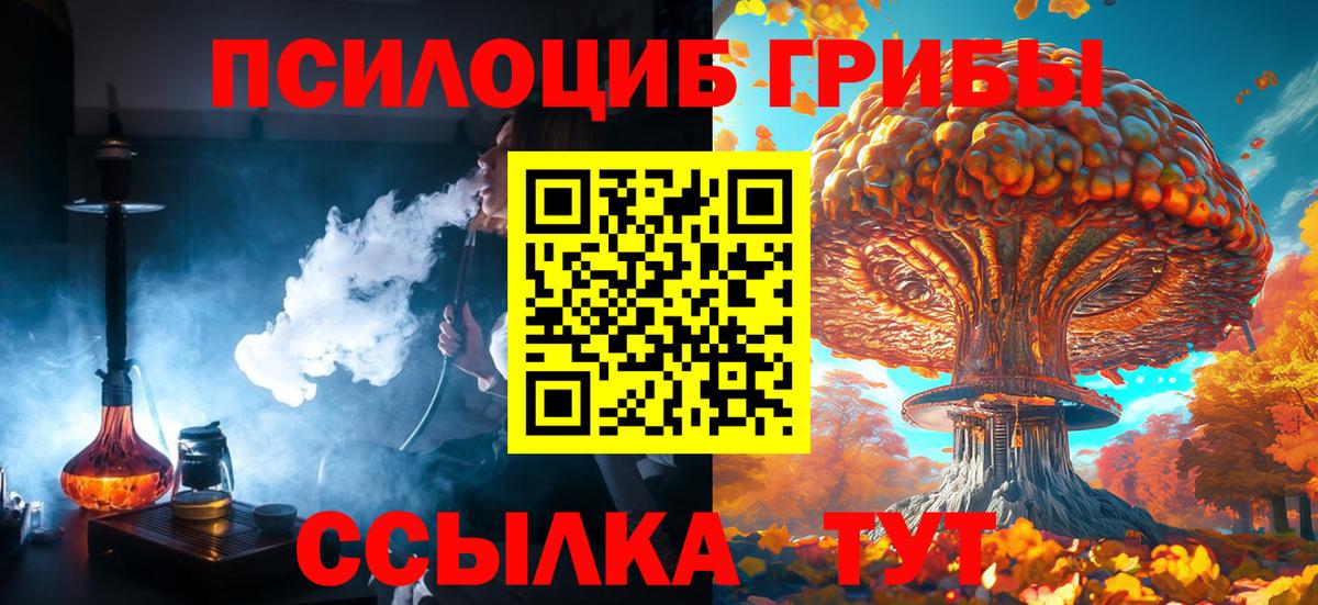 Псилоцибиновые грибы мухоморы Псков