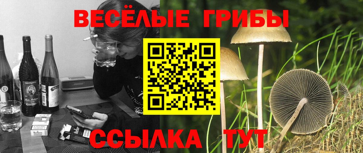 Псков  где купить наркоту  Вход с VPN  Галлюциногенные грибы мухоморы  Галлюциногенные грибы Cubensis 